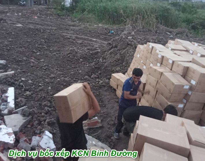 Dịch Vụ Bốc Xếp KCN Bình Đường dich vu boc xep kcn binh duong tiet kiem e1671166379669