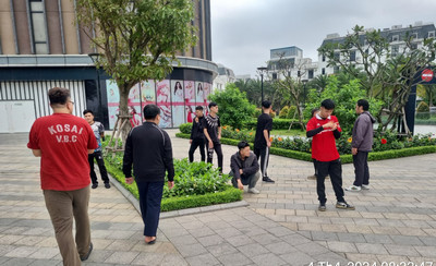 dich vu boc xep binh tan nhanh gon