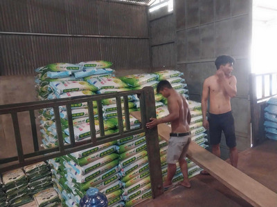 dich vu boc xep binh thanh goi la co mat