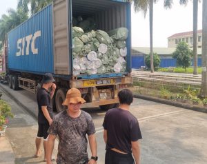 Dịch vụ bốc xếp quận 12 hiệu quả