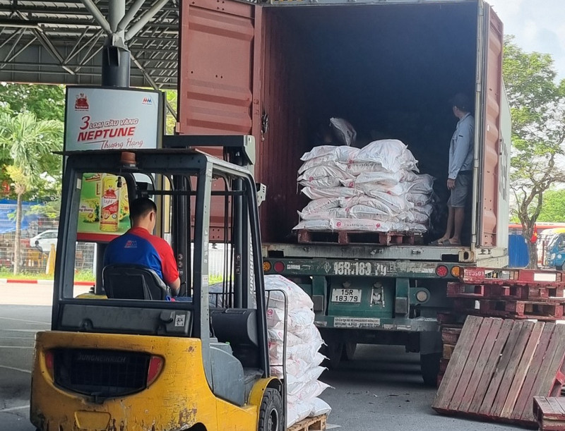 DỊCH VỤ BỐC XẾP TÂN BÌNH GIÁ RẺ 55K/1H Dịch vụ bốc xếp tân bình nhanh tốc hành