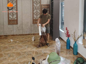 dịch vụ bốc xếp bình dương uy tín hàng đầu Hình Ảnh Của Công Ty Dọn Nhà Kiến Vàng Khi Triển Khai Dịch Vụ Chuyển Nhà Trọn Gói Tại Các Khu Vực Tphcm