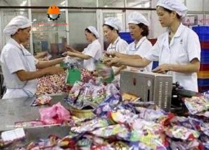 Cho Thuê Lao Động Long An: Uy Tín, Giá Rẻ ✅ 2025