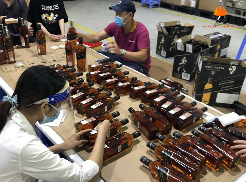 Cho Thuê Lao Động Long An: Uy Tín, Giá Rẻ ✅ 2025 Lợi Ích Của Việc Sử Dụng Dịch Vụ Cho Thuê Lao Động Long An