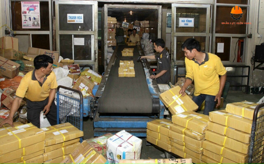 Cho Thuê Lao Động Long An: Uy Tín, Giá Rẻ ✅ 2025 Quy Trình Thuê Lao Động Tại Cung Ứng Lao Động Long An - Kiến Vàng