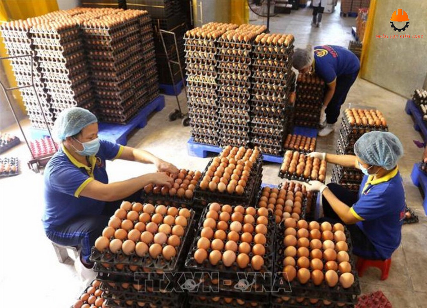 Cho Thuê Lao Động Long An: Uy Tín, Giá Rẻ ✅ 2025 Tổng Quan Dịch Vụ Cho Thuê Lao Động Long An